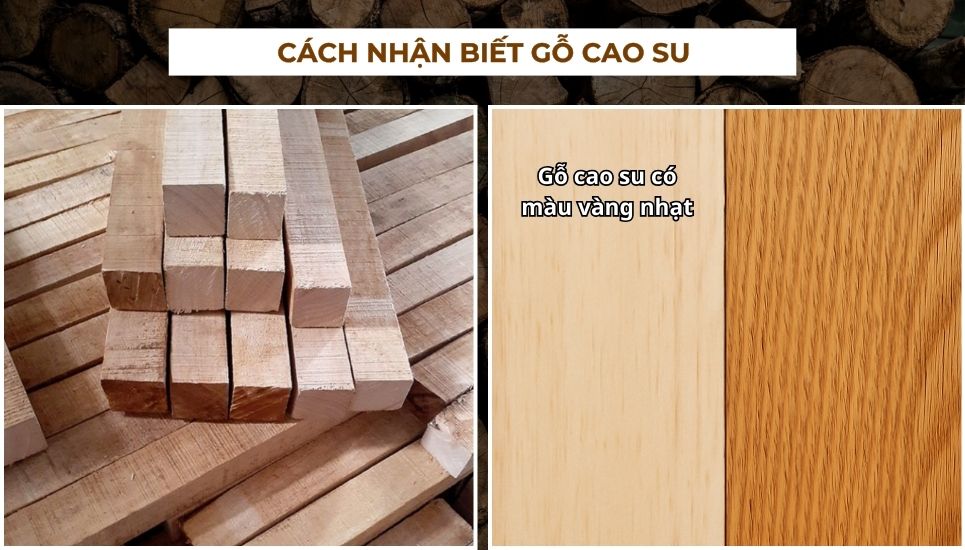 gỗ cao su là gì