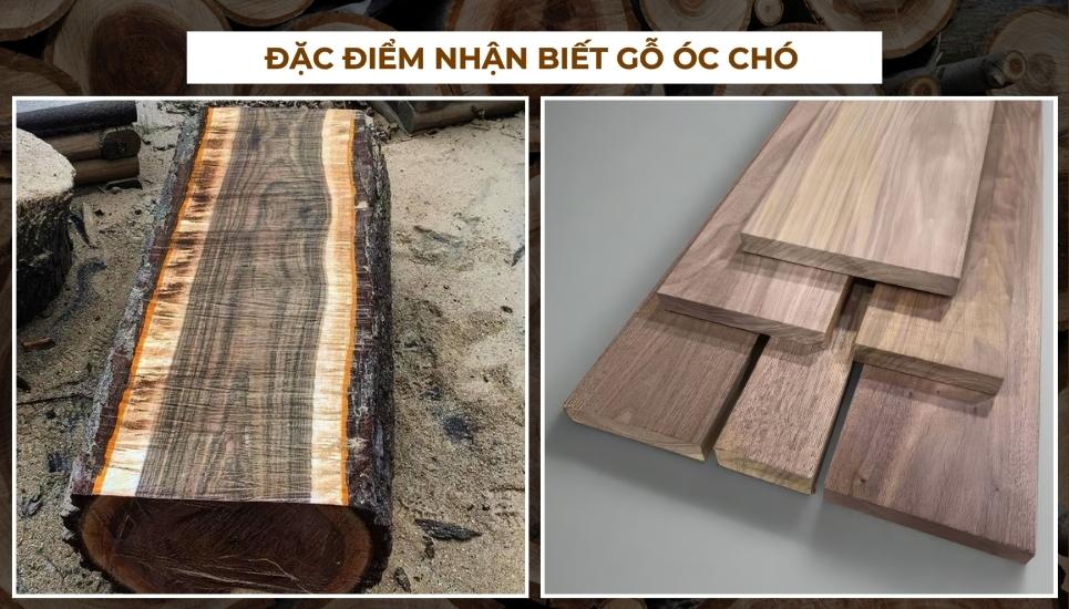 gỗ óc chó là gì
