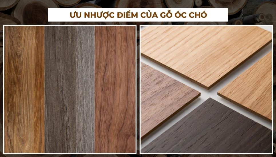 gỗ óc chó là gì