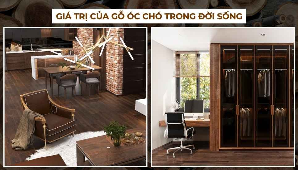 gỗ óc chó là gì