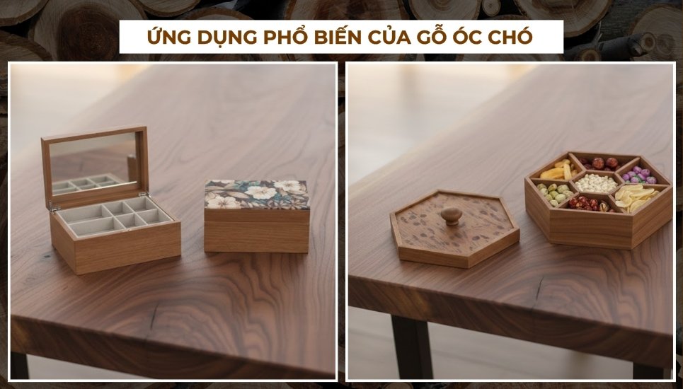 gỗ óc chó là gì