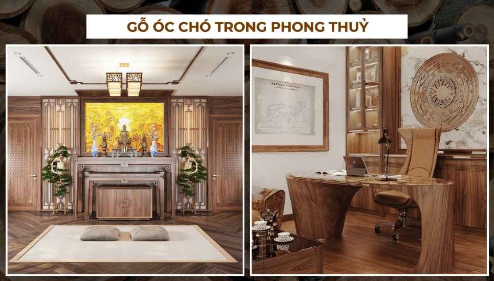 gỗ óc chó là gì