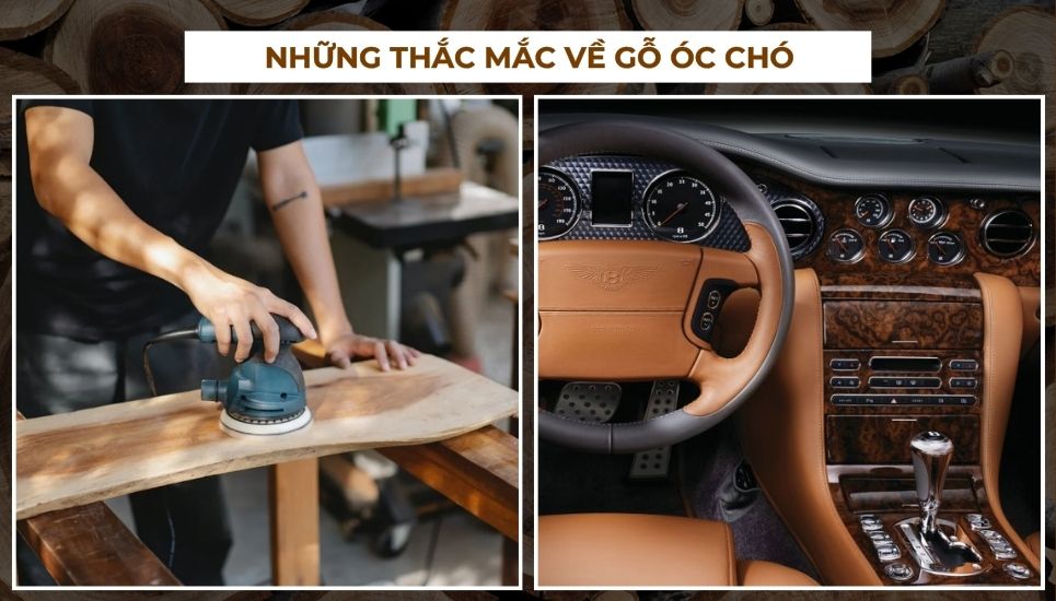 gỗ óc chó là gì