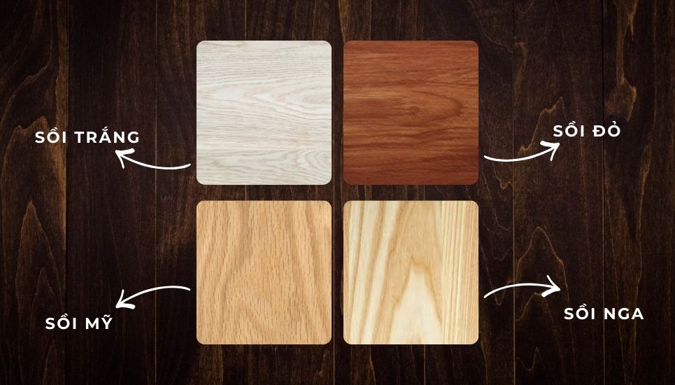 các loại gỗ sồi phổ biến
