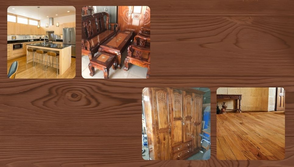 ứng dụng của gỗ tràm là gì