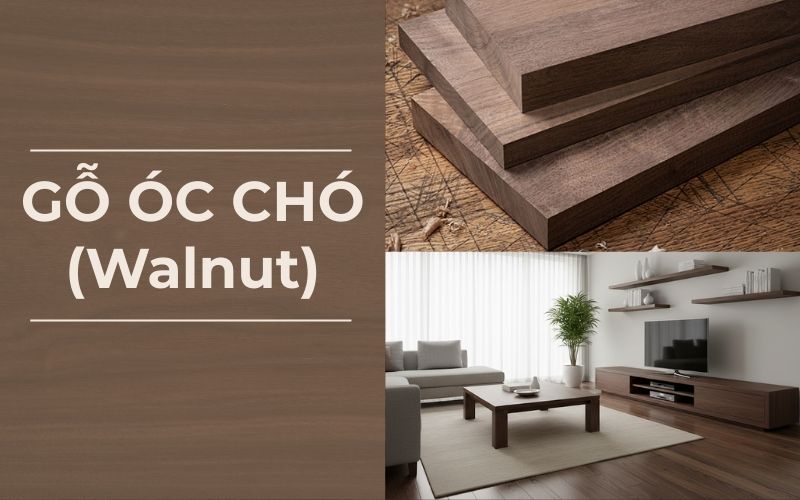 Đặc điểm gỗ óc chó