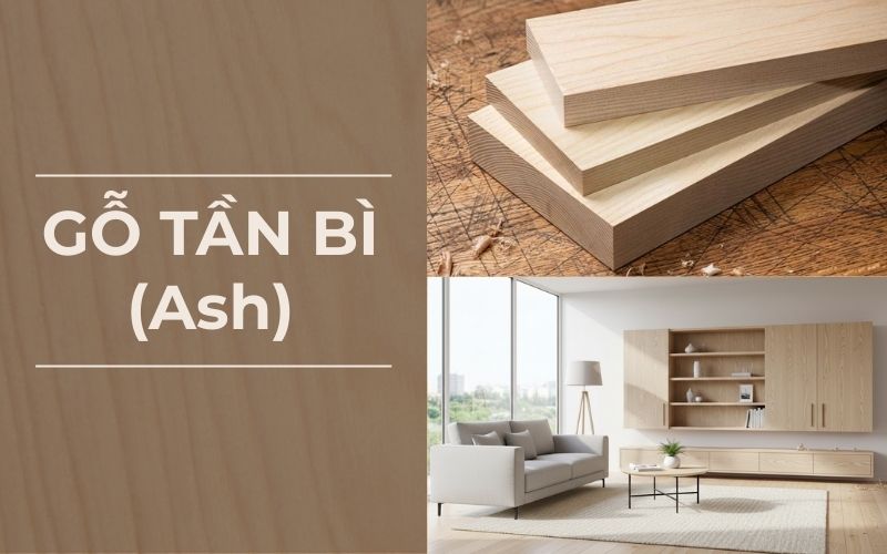 Đặc điểm gỗ Tần Bì