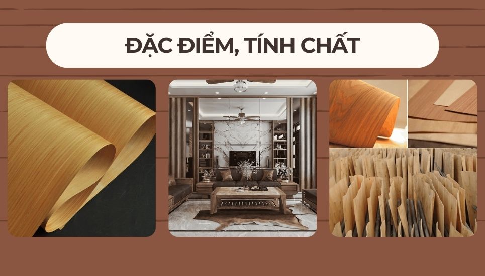 Đặc điểm gỗ veneer là gì