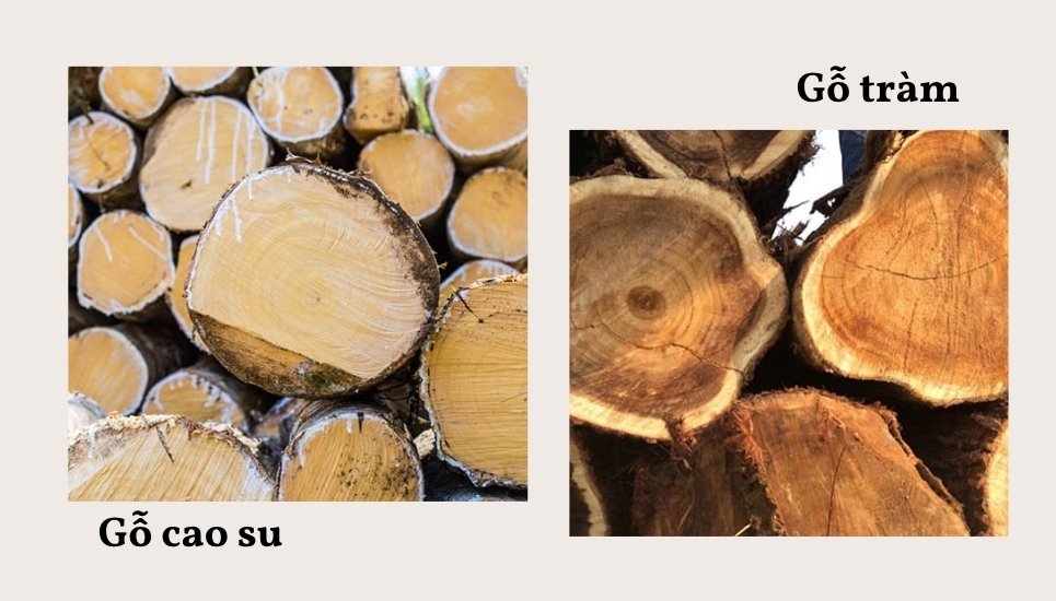 lựa chọn nội thất gỗ cao su và gỗ tràm