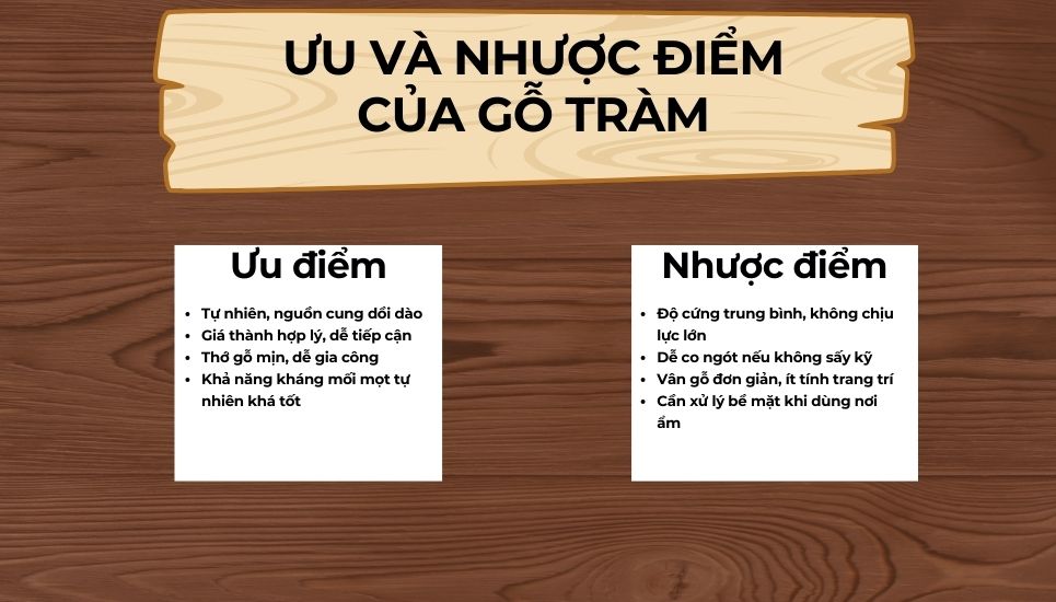 ưu, nhược điểm gỗ tràm là gì