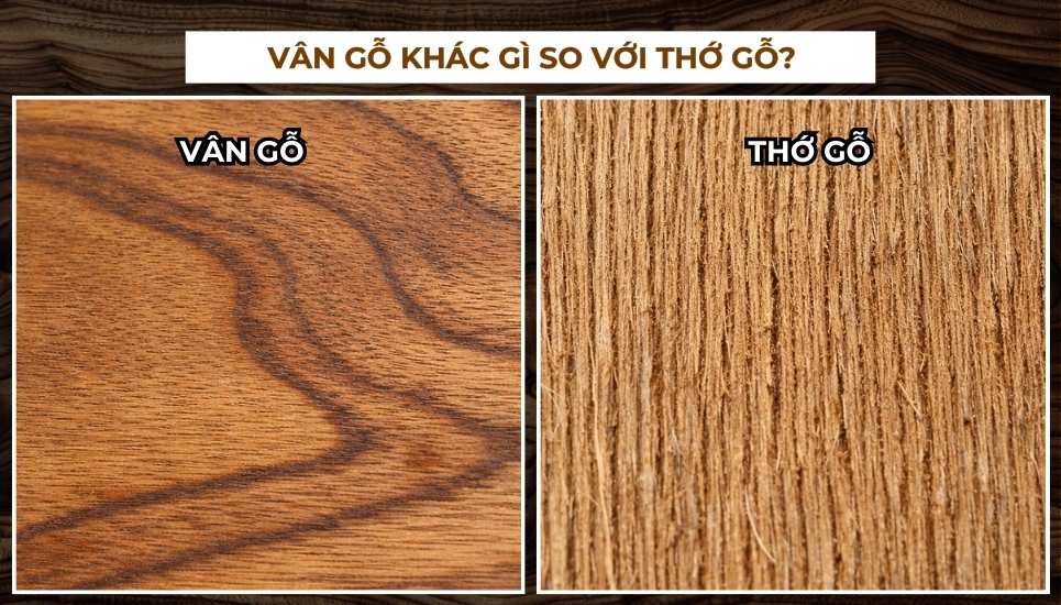 vân gỗ là gì