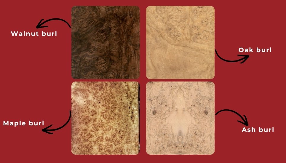 Các loại veneer burl là gì