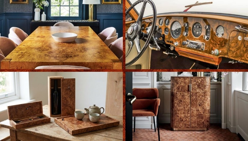 ứng dụng veneer burl là gì