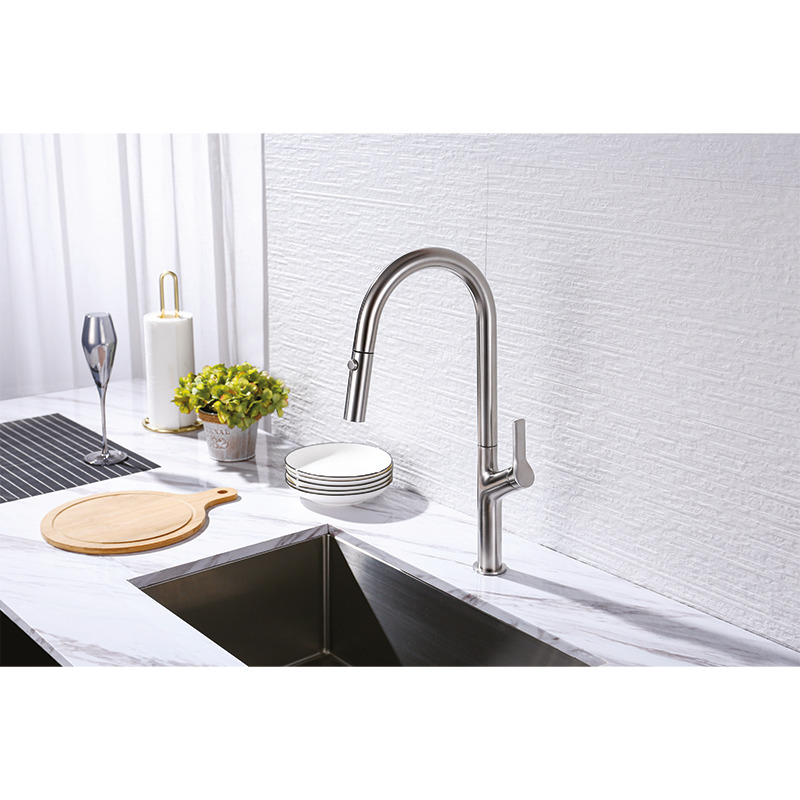 Vòi Rửa Chén Bát Inox Lux-P HT25-SH1F449 Hafele 570.85.045