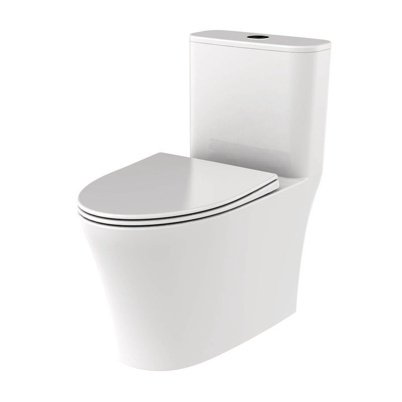 Bồn Cầu 1 Khối Sapporo II Hafele 588.79.416