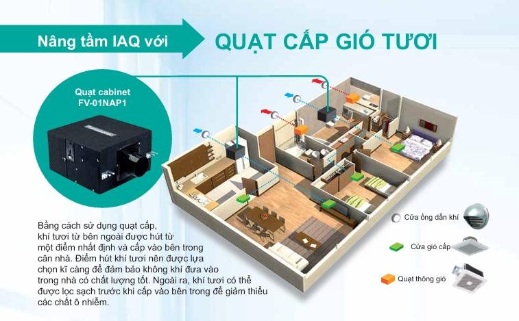 Nên Dùng Máy Cấp Khí Tươi 1 Chiều Hay 2 Chiều? Góc Chuyên Gia