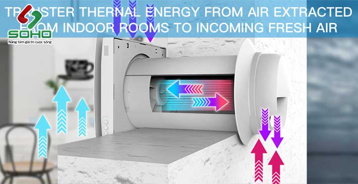 Máy Cấp Khí Tươi Gắn Tường Thu Hồi Nhiệt AIR WOOD VT-501