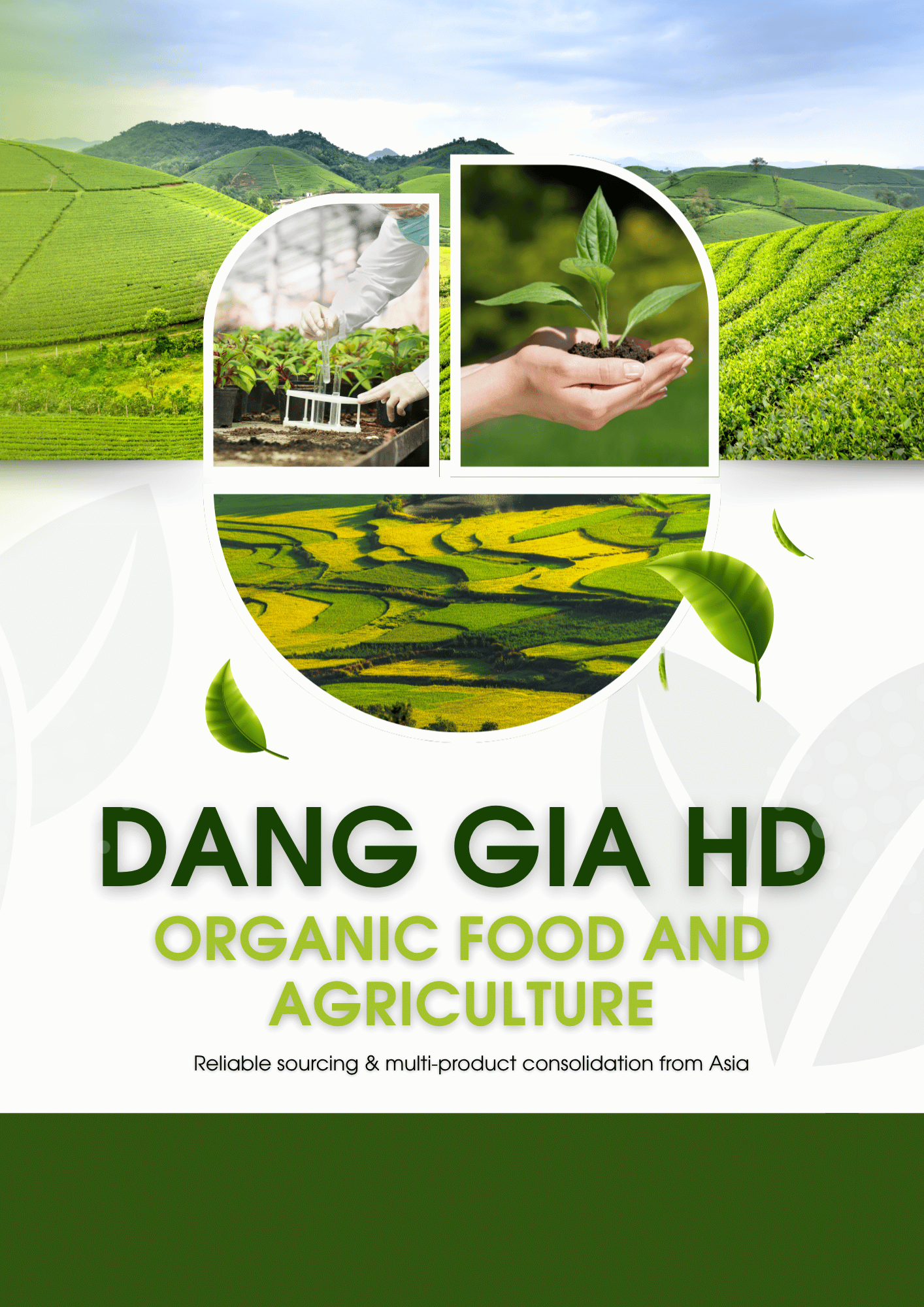 Maximize Your Trading Profits with Mixed Container Solutions from Dang Gia HD