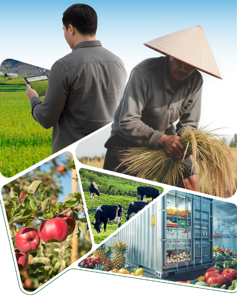 Banner giới thiệu