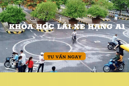 Học lái xe hạng A1