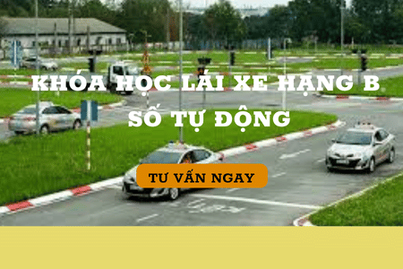 Học lái xe  hạng B số tự động
