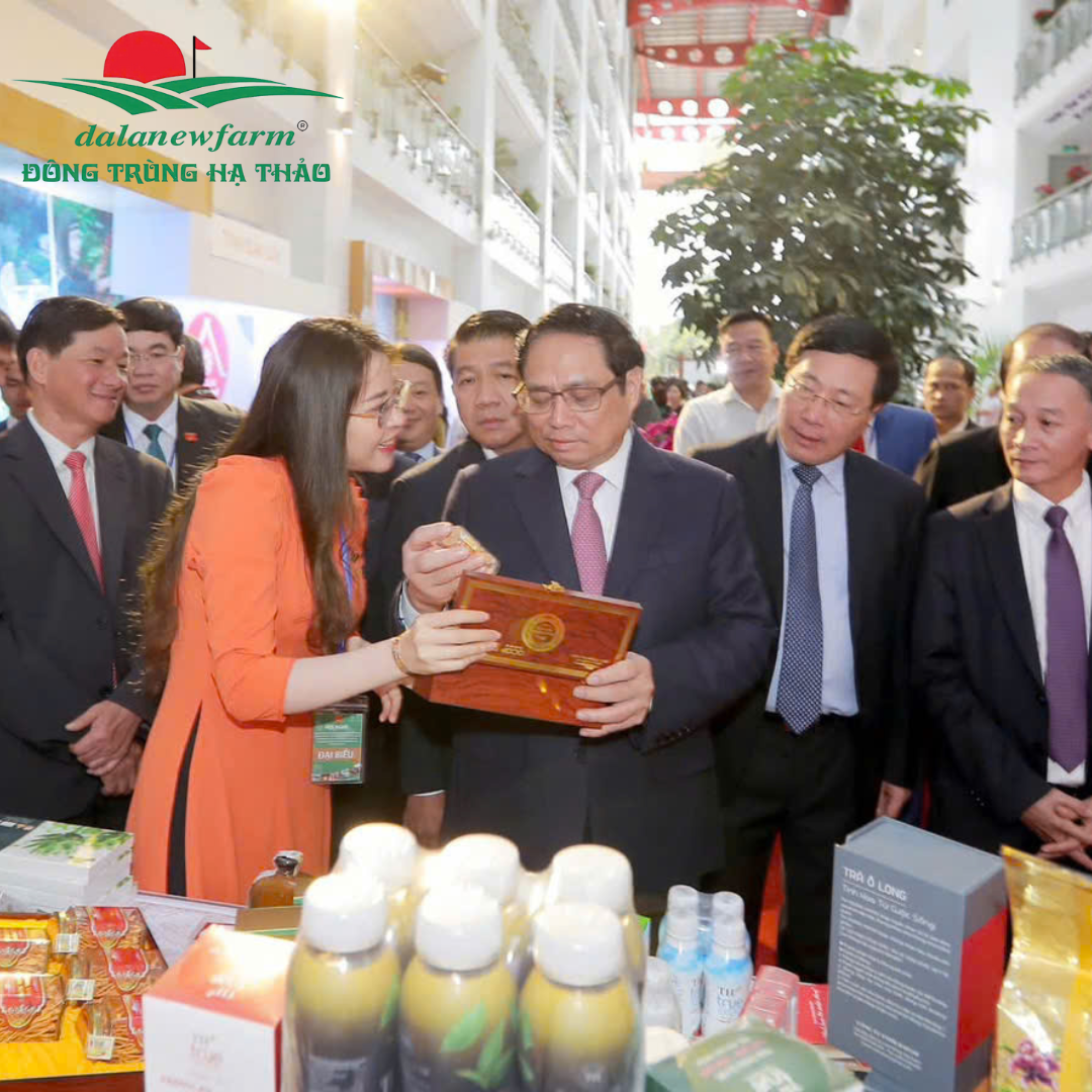 [COMBO] Xuân Trà Cát Tường Dalanewfarm (1 ĐTHT Size 4 10g + 1 Hồng Treo Gió 150g + 1 Trà Mix vị 3 gói)