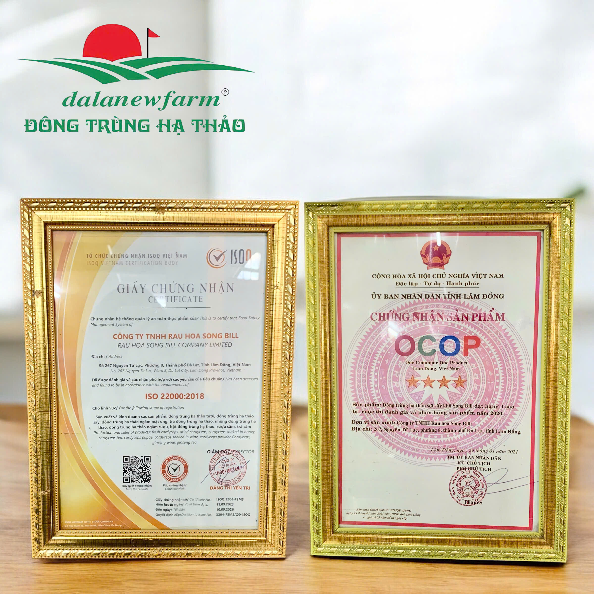 COMBO VIP Đông Trùng Thượng Đỉnh