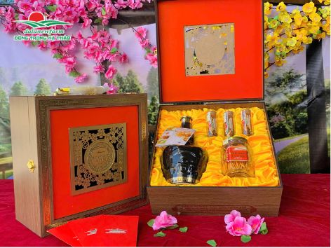 [ PHIÊN BẢN GIỚI HẠN ] COMBO ĐÔNG TRÙNG VƯỢNG KHÍ