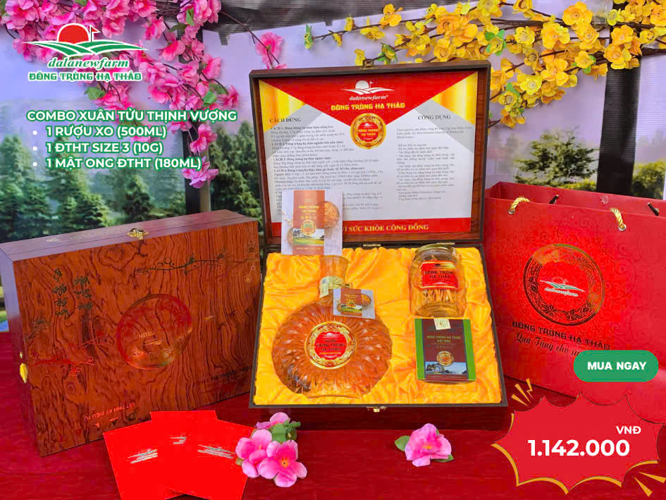 Combo hộp giấy đỏ (1 rượu XO + 1ĐTHT sấy khô size 3 5g + 1ĐTHT mật ong 80ml)