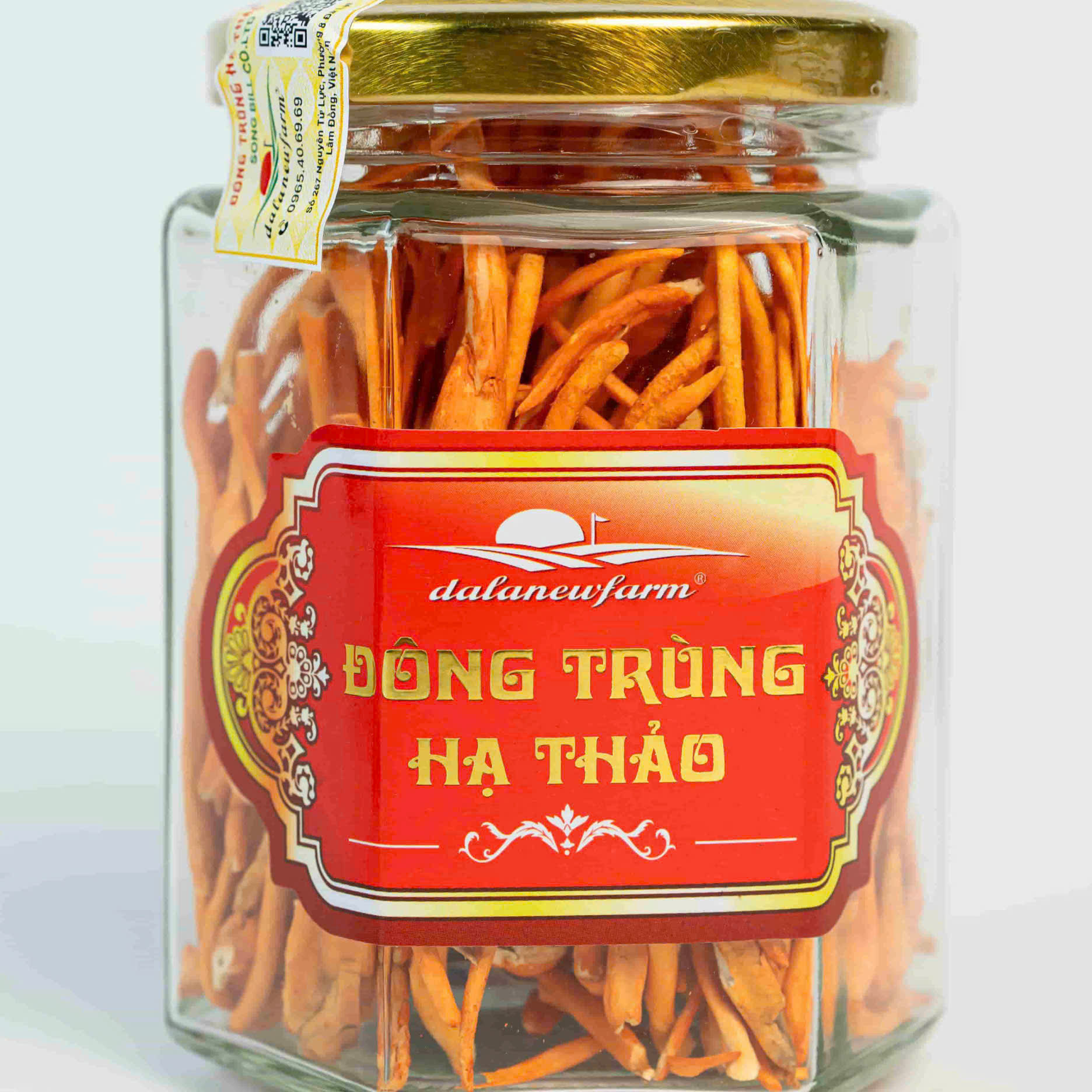 DTHT sấy thăng hoa Size 1
