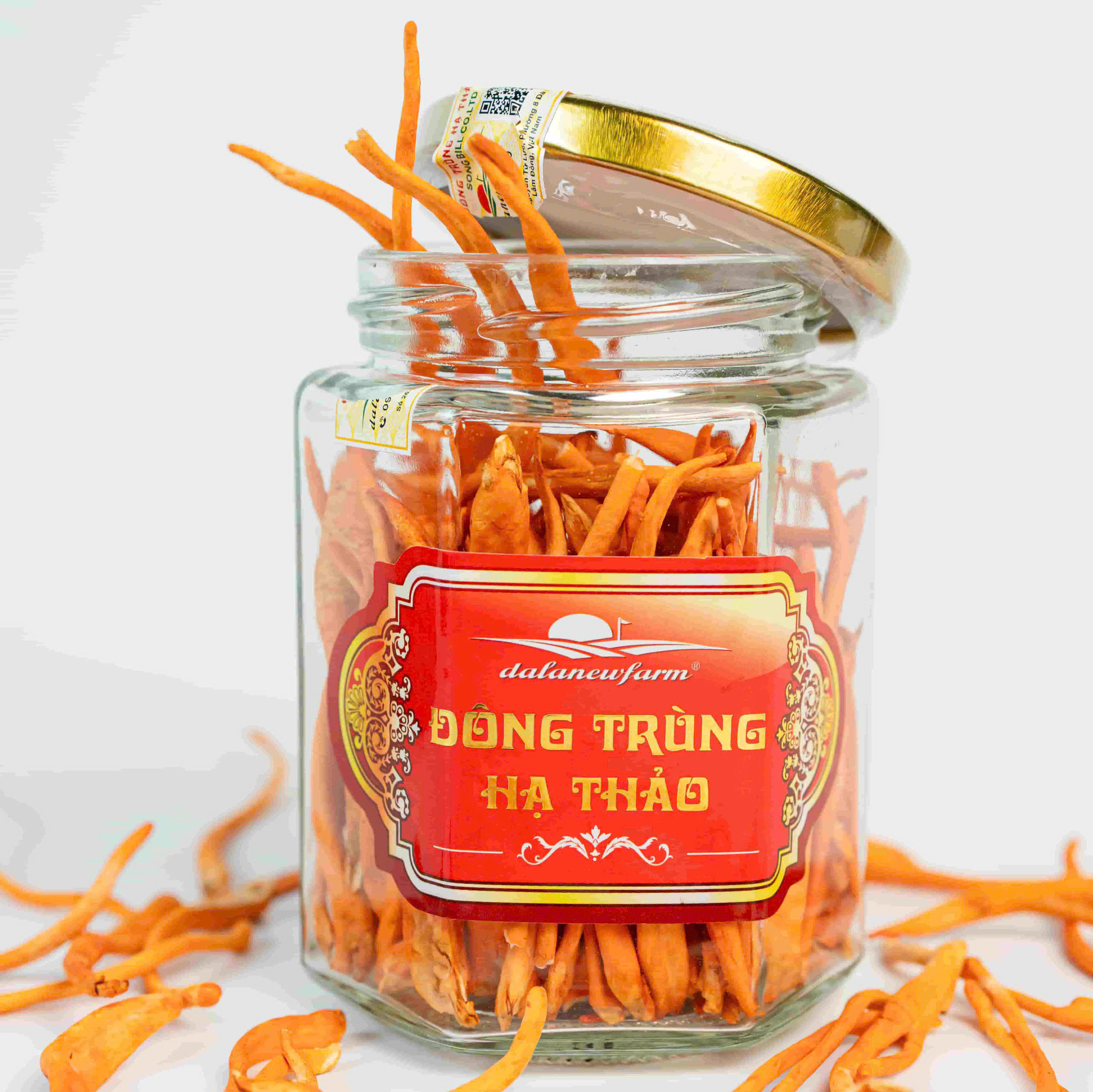 DTHT sấy thăng hoa Size 1