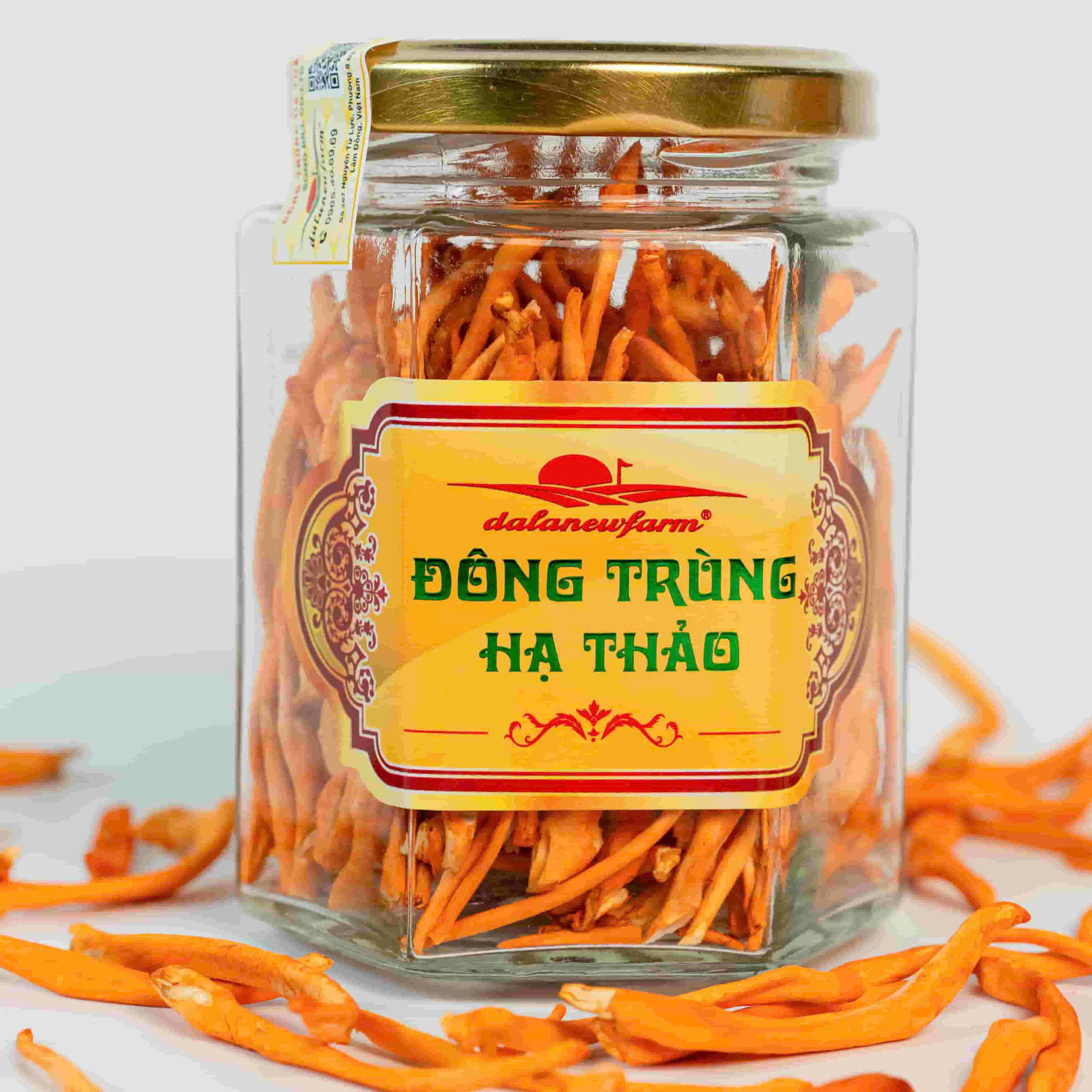 DTHT sấy thăng hoa Size 2