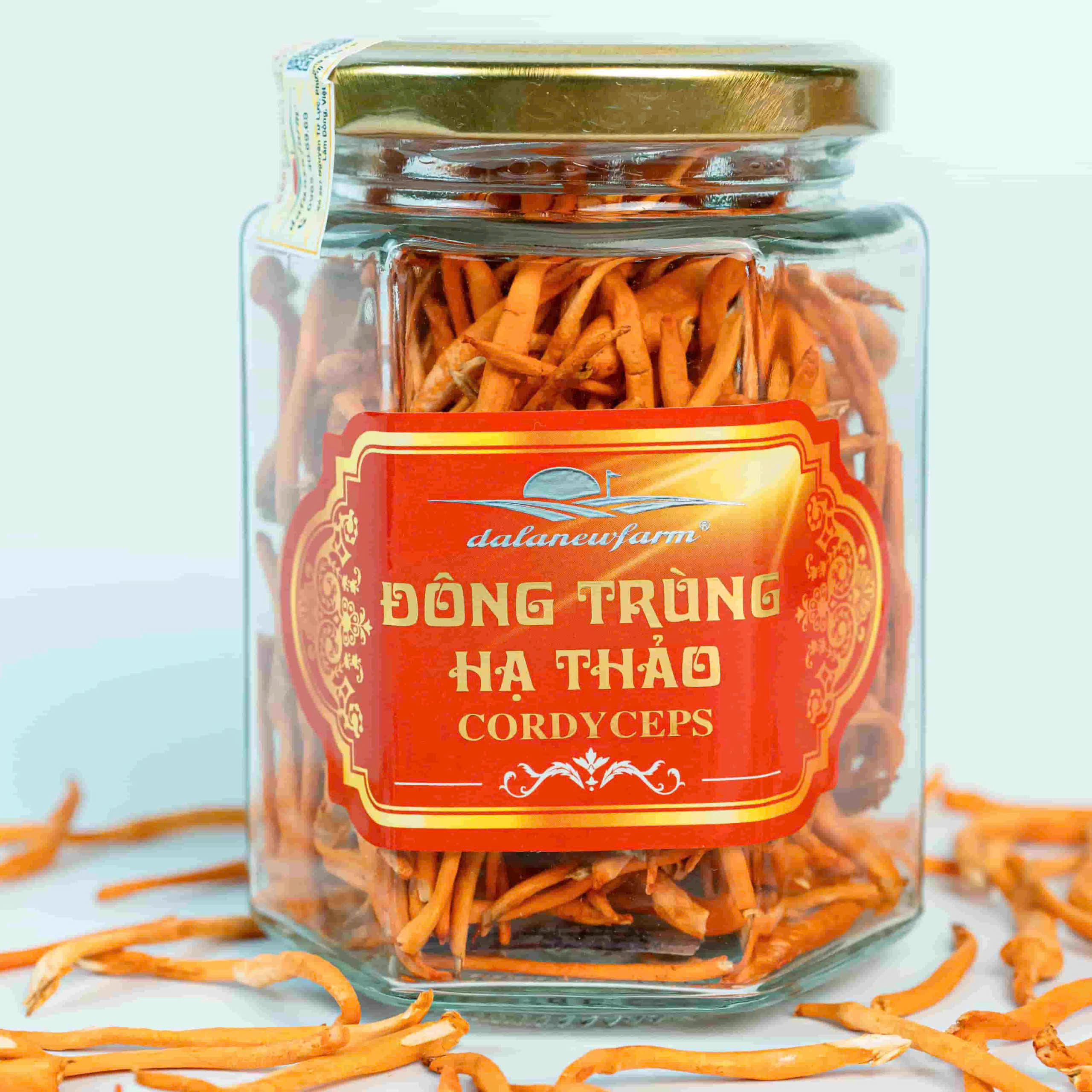 DTHT sấy thăng hoa Size 3