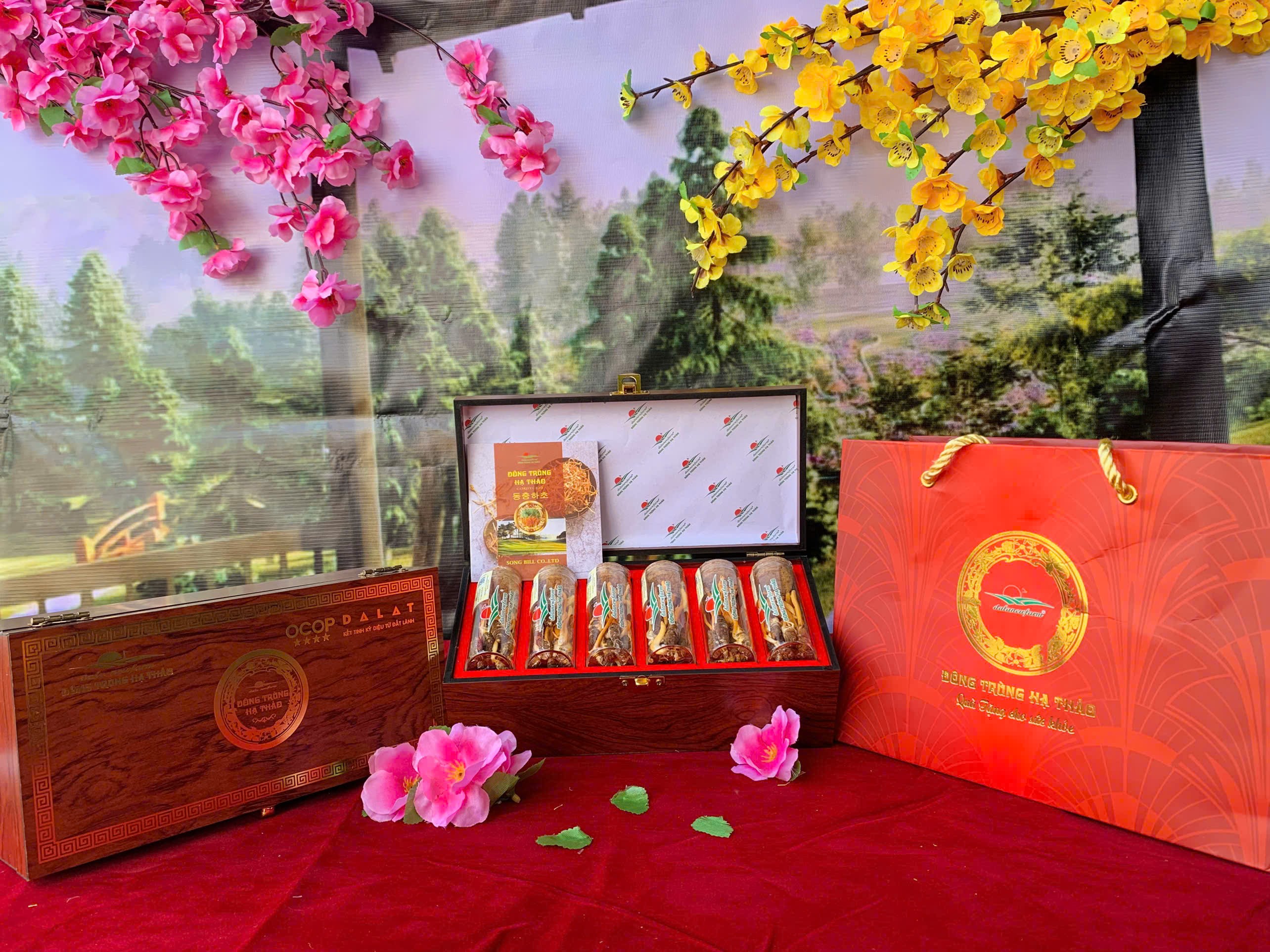 HỘP NHỘNG ĐÔNG TRÙNG HẠ THẢO DALANEWFARM (6 ống/24 con)