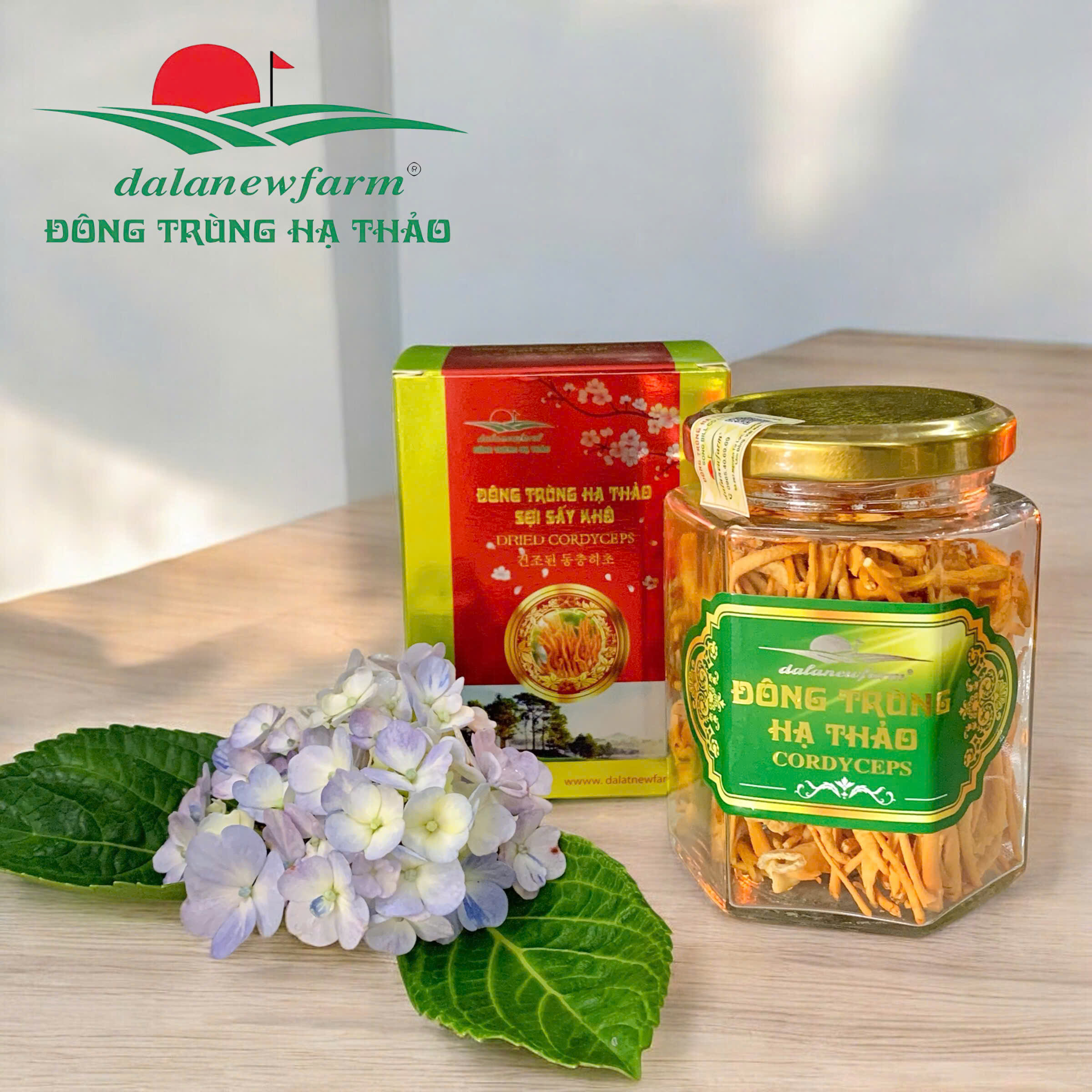 ĐTHT sấy thăng hoa Size 4