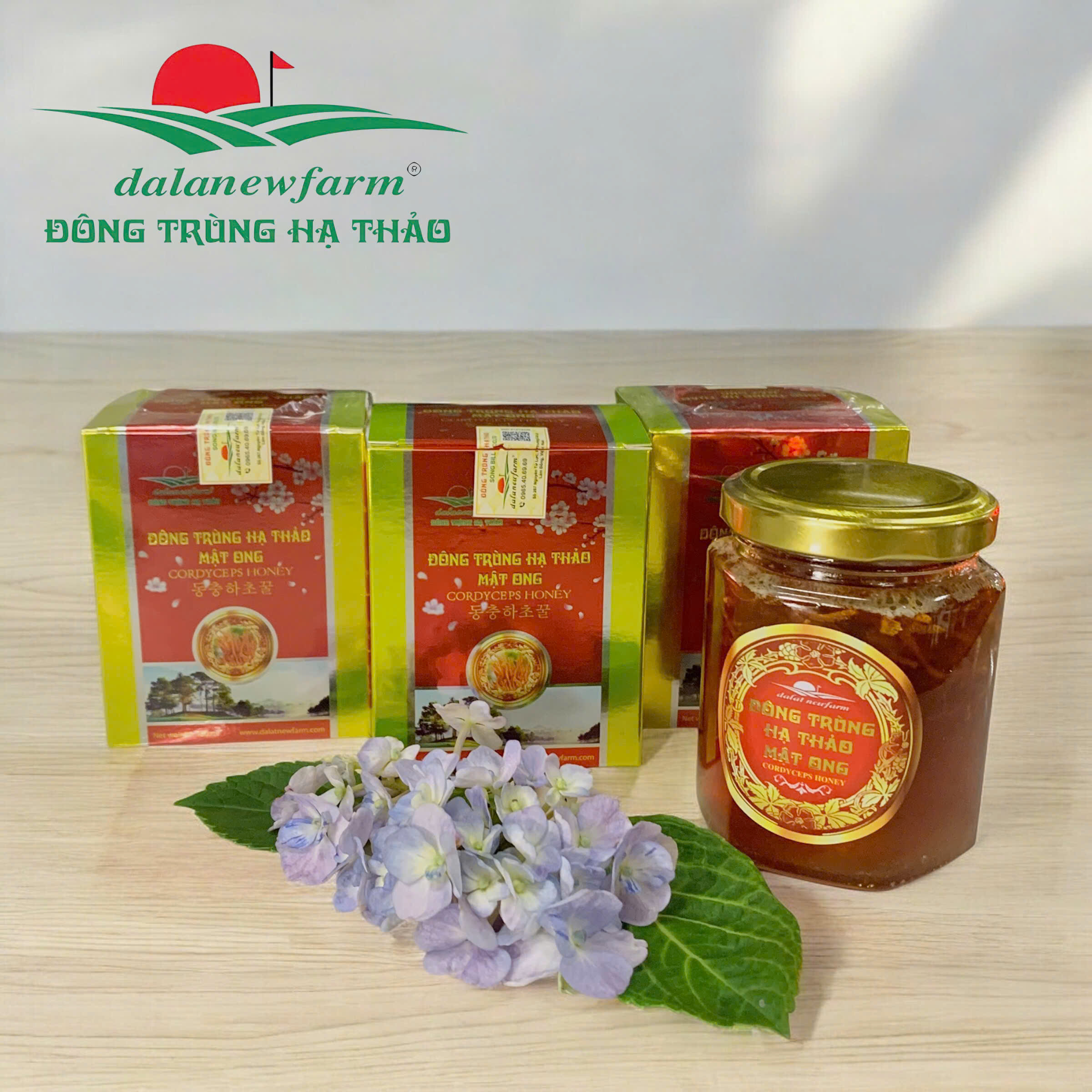 Đông trùng hạ thảo mật ong Dalanewfarm | Khỏe từ bên trong – Đẹp từ bên ngoài