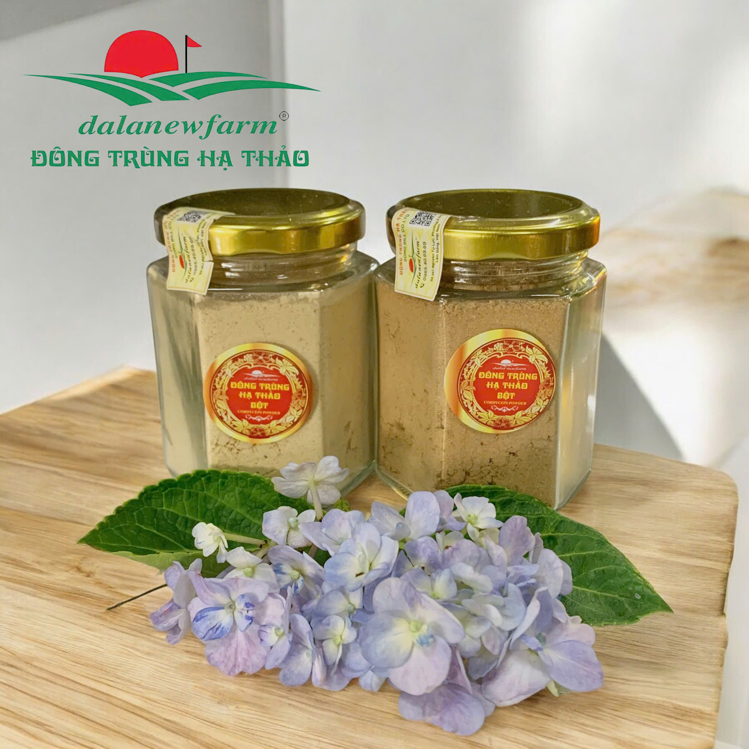 Bột đông trùng hạ thảo Dalanewfarm | Tăng Đề Kháng – Ngủ Ngon – Bồi Bổ Cơ Thể