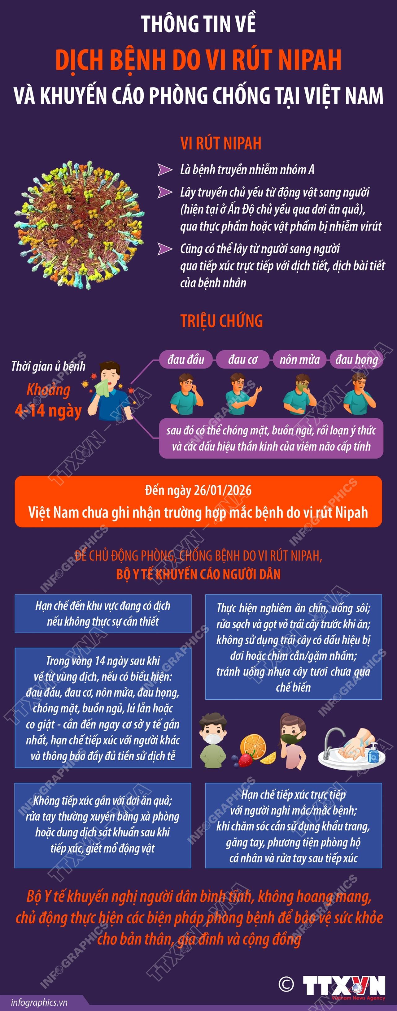 THÔNG TIN VỀ BỆNH DO VI RÚT NIPAH VÀ KHUYẾN CÁO PHÒNG CHỐNG TẠI VIỆT NAM