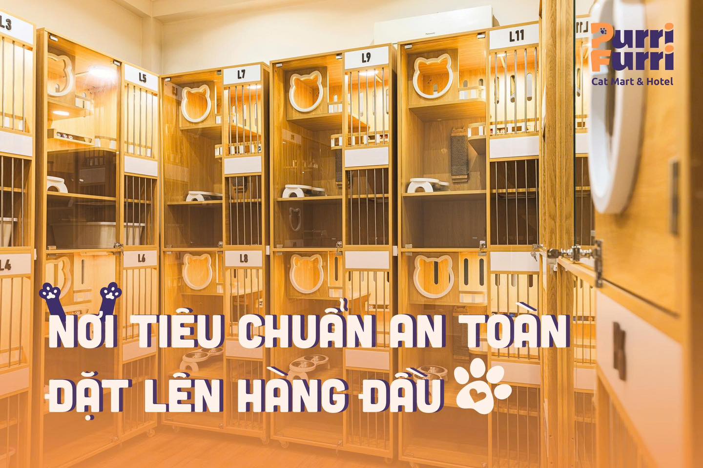 PURRI FURRI - NƠI TIÊU CHUẨN AN TOÀN ĐẶT LÊN HÀNG ĐẦU