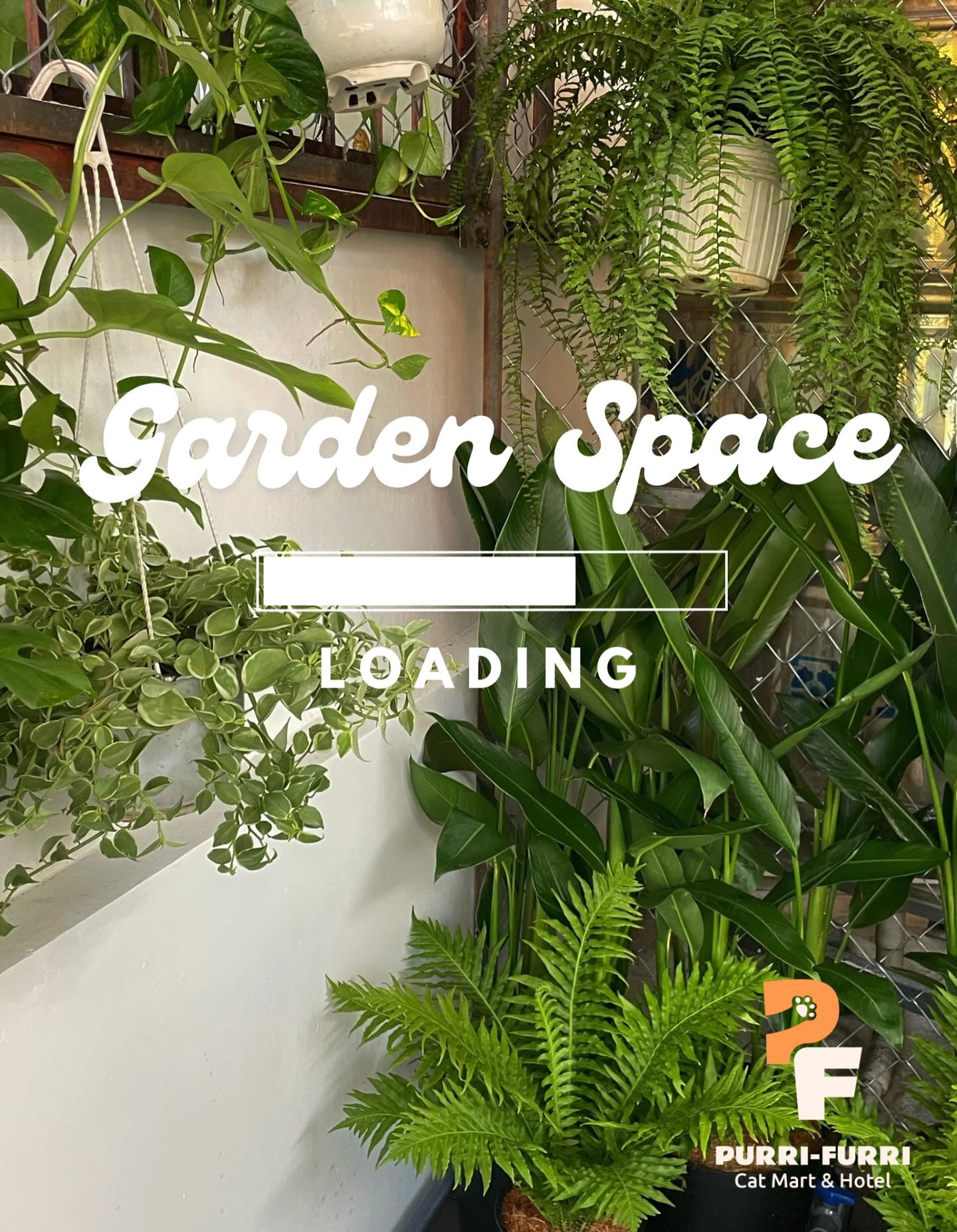 PURRI FURRI - KHÔNG GIAN VUI CHƠI XANH SẠCH ĐẸP