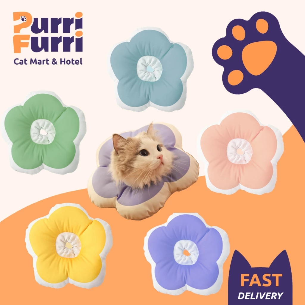 Gối Chống Liếm Cho Thú Cưng Hình Bông Hoa