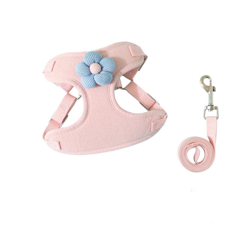 Dây Dắt Chó Mèo Đi Dạo