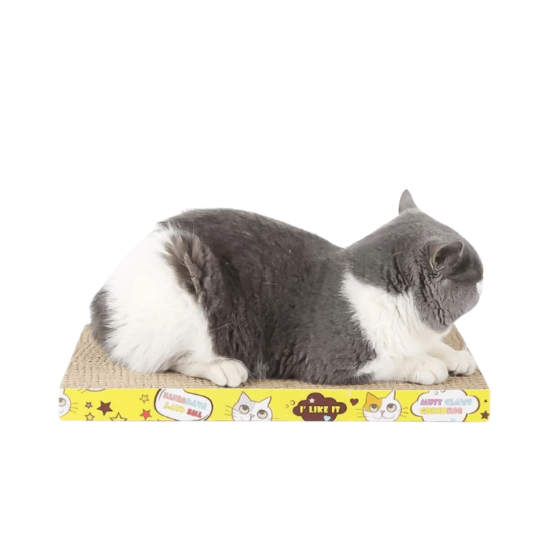 Bàn Cào Móng Cho Mèo