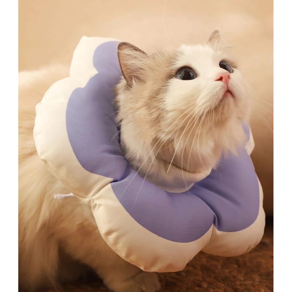 Gối Chống Liếm Cho Thú Cưng Hình Bông Hoa