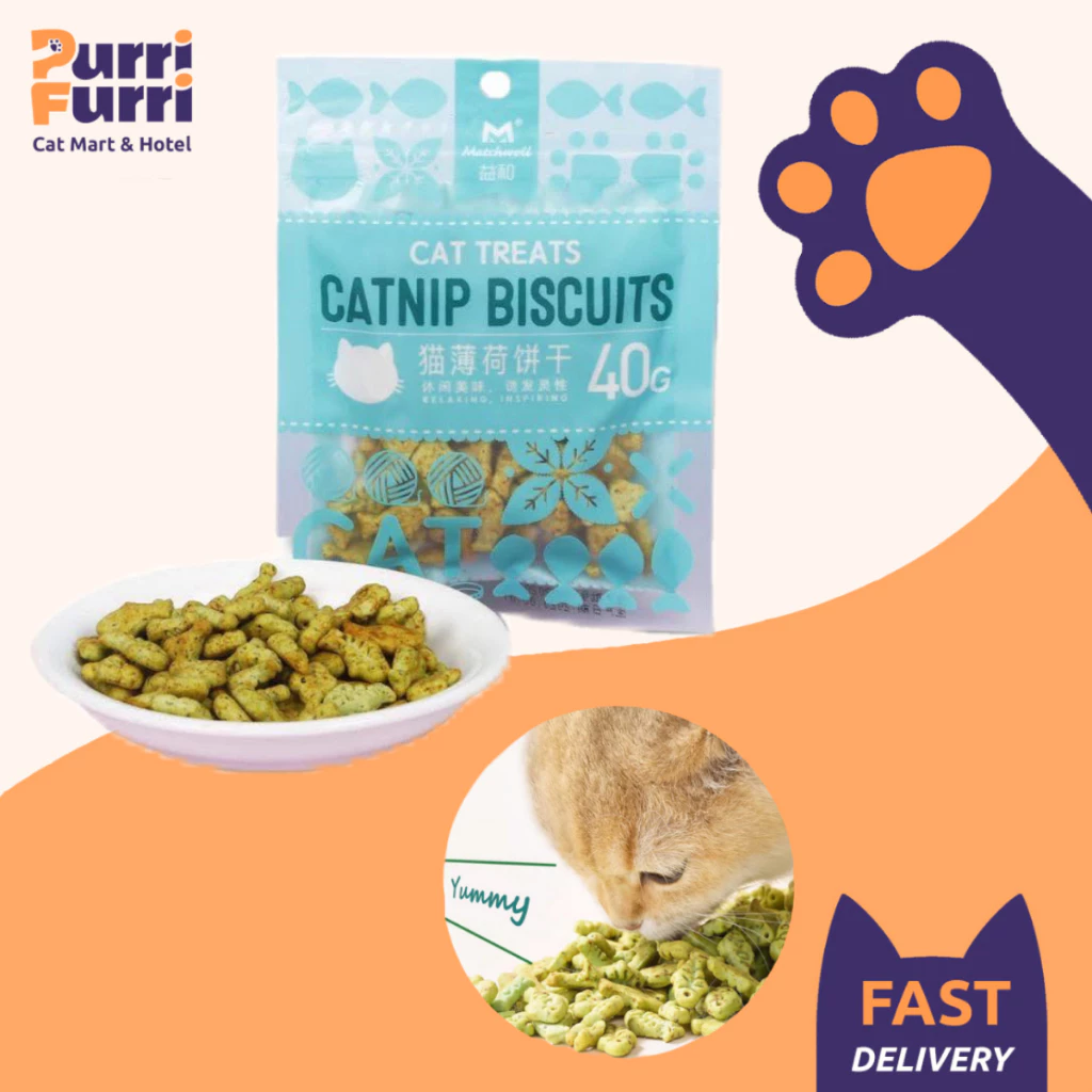 Bánh Cá Catnip, Snack Cỏ Mèo MATCHWELL