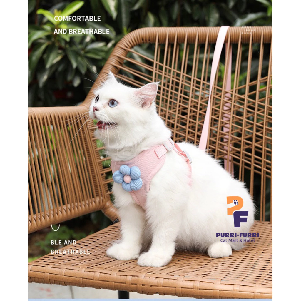 Dây Dắt Chó Mèo Đi Dạo