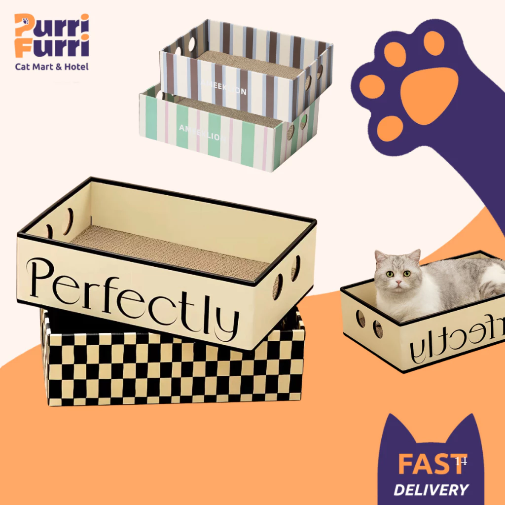 Hộp Cào Móng Cho Mèo, Ổ Cào Móng Carton, Bàn Cào Cao Cấp Hoạ Tiết Dễ Thương