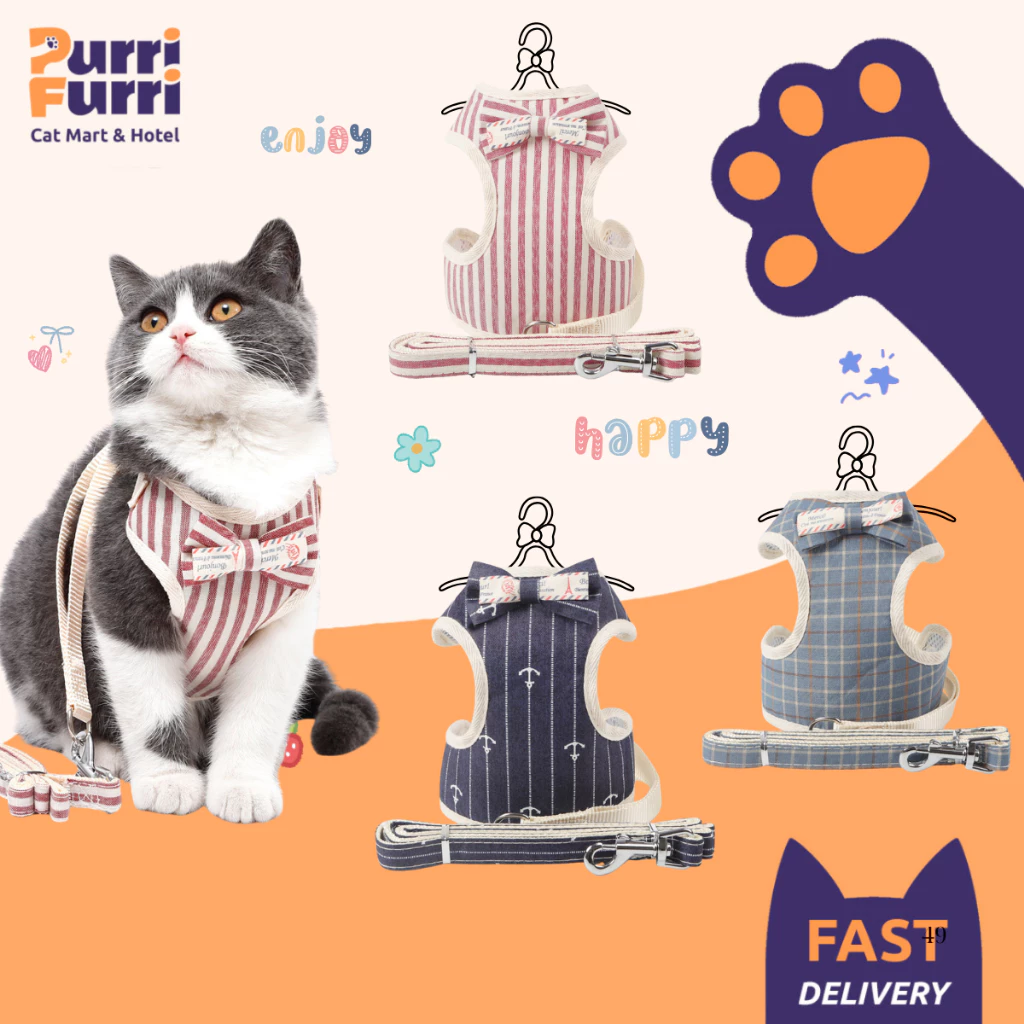 Dây Dắt Chó Mèo Đi Dạo