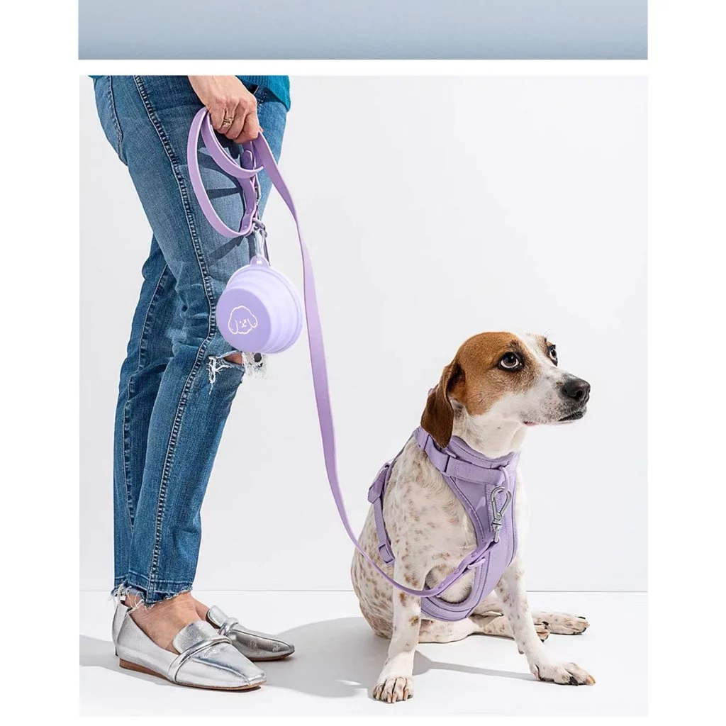 Chén Ăn Gấp Gọn Cho Thú Cưng