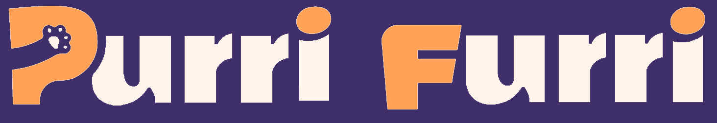 Purri Furri - Cat Mart & Hotel
